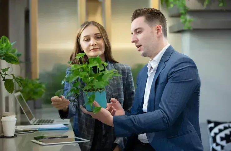 Imagem ilustrativa de Licenciamento ambiental ibama